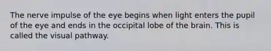 The nerve impulse of the eye begins when light enters the pupil of the eye and ends in the occipital lobe of <a href='https://www.questionai.com/knowledge/kLMtJeqKp6-the-brain' class='anchor-knowledge'>the brain</a>. This is called the visual pathway.