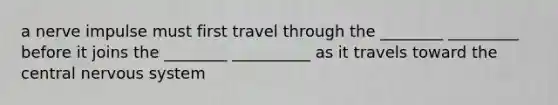 a nerve impulse must first travel through the ________ _________ before it joins the ________ __________ as it travels toward the central nervous system