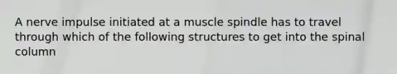 A nerve impulse initiated at a muscle spindle has to travel through which of the following structures to get into the spinal column