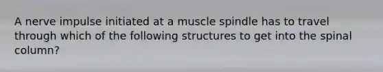 A nerve impulse initiated at a muscle spindle has to travel through which of the following structures to get into the spinal column?