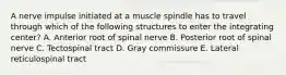 A nerve impulse initiated at a muscle spindle has to travel through which of the following structures to enter the integrating center? A. Anterior root of spinal nerve B. Posterior root of spinal nerve C. Tectospinal tract D. Gray commissure E. Lateral reticulospinal tract