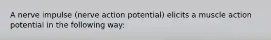 A nerve impulse (nerve action potential) elicits a muscle action potential in the following way: