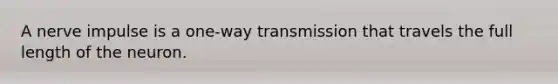 A nerve impulse is a one-way transmission that travels the full length of the neuron.