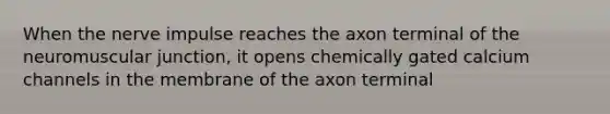 When the nerve impulse reaches the axon terminal of the neuromuscular junction, it opens chemically gated calcium channels in the membrane of the axon terminal