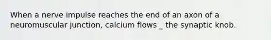 When a nerve impulse reaches the end of an axon of a neuromuscular junction, calcium flows _ the synaptic knob.