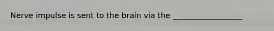 Nerve impulse is sent to the brain via the __________________