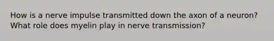 How is a nerve impulse transmitted down the axon of a neuron? What role does myelin play in nerve transmission?