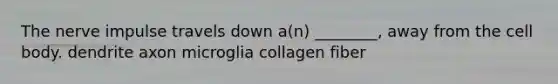 The nerve impulse travels down a(n) ________, away from the cell body. dendrite axon microglia collagen fiber