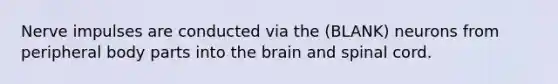 Nerve impulses are conducted via the (BLANK) neurons from peripheral body parts into <a href='https://www.questionai.com/knowledge/kLMtJeqKp6-the-brain' class='anchor-knowledge'>the brain</a> and spinal cord.