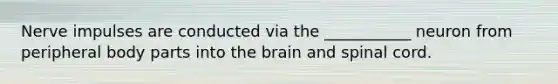 Nerve impulses are conducted via the ___________ neuron from peripheral body parts into the brain and spinal cord.