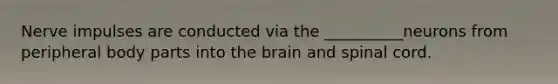 Nerve impulses are conducted via the __________neurons from peripheral body parts into the brain and spinal cord.