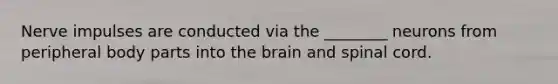 Nerve impulses are conducted via the ________ neurons from peripheral body parts into <a href='https://www.questionai.com/knowledge/kLMtJeqKp6-the-brain' class='anchor-knowledge'>the brain</a> and spinal cord.