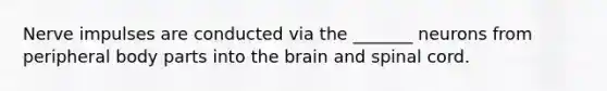 Nerve impulses are conducted via the _______ neurons from peripheral body parts into <a href='https://www.questionai.com/knowledge/kLMtJeqKp6-the-brain' class='anchor-knowledge'>the brain</a> and spinal cord.