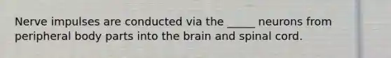 Nerve impulses are conducted via the _____ neurons from peripheral body parts into the brain and spinal cord.