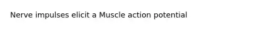 Nerve impulses elicit a Muscle action potential