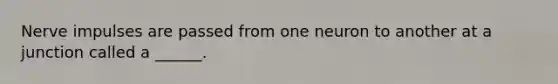 Nerve impulses are passed from one neuron to another at a junction called a ______.