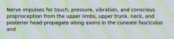 Nerve impulses for touch, pressure, vibration, and conscious proprioception from the upper limbs, upper trunk, neck, and posterior head propagate along axons in the cuneate fasciculus and