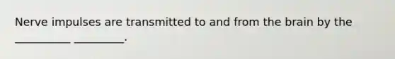 Nerve impulses are transmitted to and from the brain by the __________ _________.