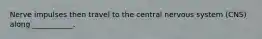 Nerve impulses then travel to the central nervous system (CNS) along ___________.