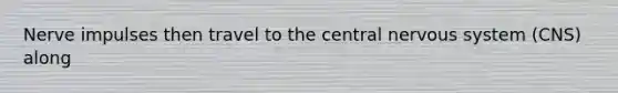 Nerve impulses then travel to the central nervous system (CNS) along