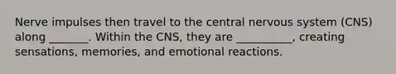 Nerve impulses then travel to the central nervous system (CNS) along _______. Within the CNS, they are __________, creating sensations, memories, and emotional reactions.