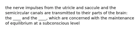 the nerve impulses from the utricle and saccule and the semicircular canals are transmitted to their parts of the brain: the ____ and the ____, which are concerned with the maintenance of equilibrium at a subconscious level