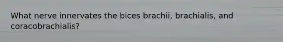 What nerve innervates the bices brachii, brachialis, and coracobrachialis?