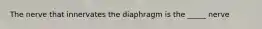 The nerve that innervates the diaphragm is the _____ nerve