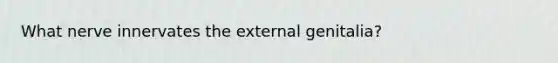 What nerve innervates the external genitalia?