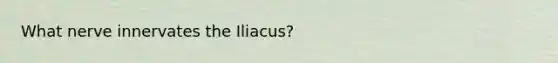 What nerve innervates the Iliacus?