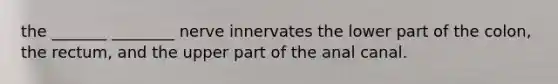 the _______ ________ nerve innervates the lower part of the colon, the rectum, and the upper part of the anal canal.