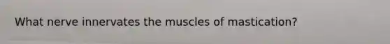 What nerve innervates the muscles of mastication?