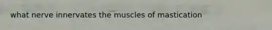 what nerve innervates the muscles of mastication