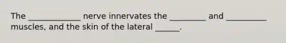 The _____________ nerve innervates the _________ and __________ muscles, and the skin of the lateral ______.