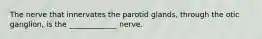 The nerve that innervates the parotid glands, through the otic ganglion, is the _____________ nerve.