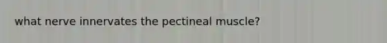 what nerve innervates the pectineal muscle?