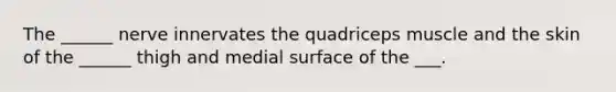 The ______ nerve innervates the quadriceps muscle and the skin of the ______ thigh and medial surface of the ___.