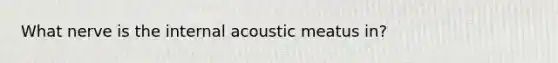 What nerve is the internal acoustic meatus in?