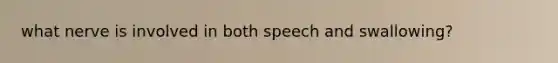 what nerve is involved in both speech and swallowing?