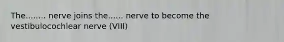 The........ nerve joins the...... nerve to become the vestibulocochlear nerve (VIII)