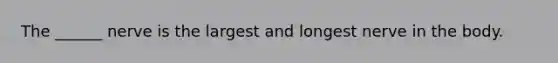 The ______ nerve is the largest and longest nerve in the body.