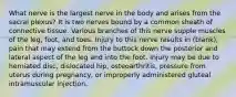 What nerve is the largest nerve in the body and arises from the sacral plexus? It is two nerves bound by a common sheath of connective tissue. Various branches of this nerve supple muscles of the leg, foot, and toes. Injury to this nerve results in (blank), pain that may extend from the buttock down the posterior and lateral aspect of the leg and into the foot. Injury may be due to herniated disc, dislocated hip, osteoarthritis, pressure from uterus during pregnancy, or improperly administered gluteal intramuscular injection.