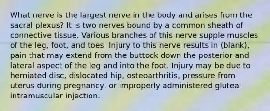 What nerve is the largest nerve in the body and arises from the sacral plexus? It is two nerves bound by a common sheath of connective tissue. Various branches of this nerve supple muscles of the leg, foot, and toes. Injury to this nerve results in (blank), pain that may extend from the buttock down the posterior and lateral aspect of the leg and into the foot. Injury may be due to herniated disc, dislocated hip, osteoarthritis, pressure from uterus during pregnancy, or improperly administered gluteal intramuscular injection.