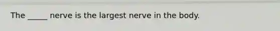 The _____ nerve is the largest nerve in the body.