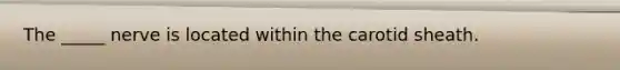 The _____ nerve is located within the carotid sheath.