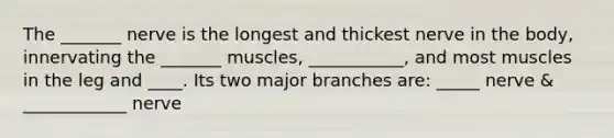 The _______ nerve is the longest and thickest nerve in the body, innervating the _______ muscles, ___________, and most muscles in the leg and ____. Its two major branches are: _____ nerve & ____________ nerve