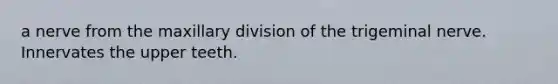 a nerve from the maxillary division of the trigeminal nerve. Innervates the upper teeth.