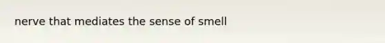 nerve that mediates the sense of smell