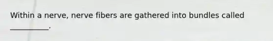 Within a nerve, nerve fibers are gathered into bundles called __________.
