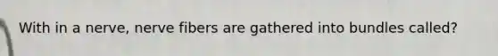 With in a nerve, nerve fibers are gathered into bundles called?
